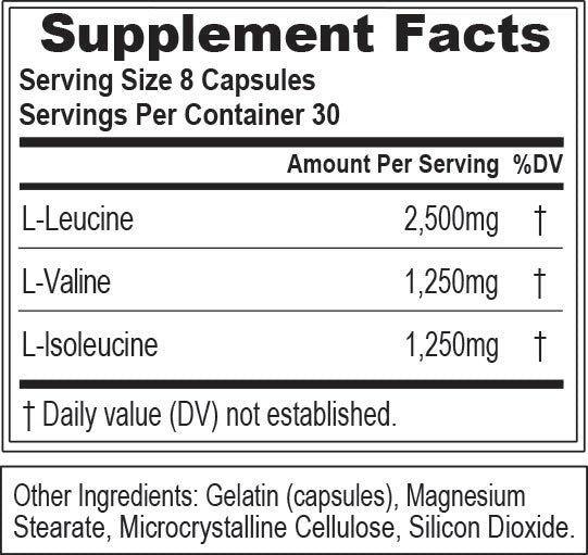 EVL Nutrition BCAA 5000 (30 Serve) 240 Capsules - Super Nutrition